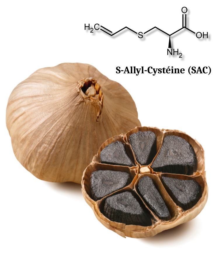 ail noir ABG25+® 